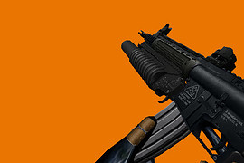 LR 300 with M203