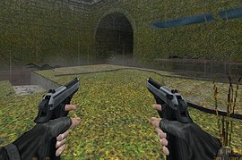 Two-tone Beretta Elites