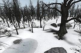 pvk_snowyglade_beta2