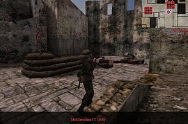 SS_Freikorps_Danmark