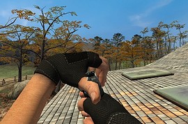 Arizona_s_Palm