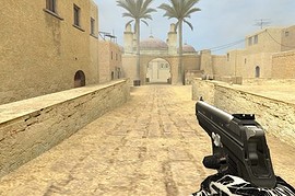 Sig P210