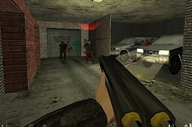 BioHazard Virus