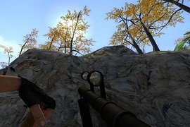 CB4-Elephant Rifle