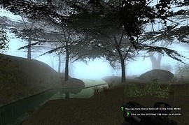 gm_forest