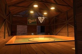 cp_trainsurfer