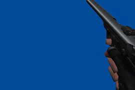 Ruger MKII .22 (3 skins)