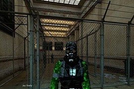 Martial Law Metro Police