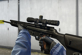 PSG-1 A2