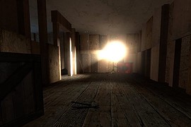zpo_shaun