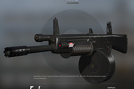 AA-12