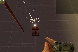 dod_orange_bridgeboom