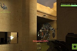 syn_hostage