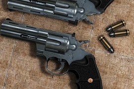 Colt .357 Python
