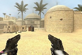 Custom p226 Dualies