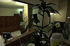 l4d_sv_reception