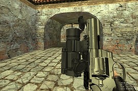 Scoped .357 Deagle