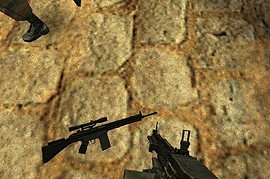 G3SG1 for CZ