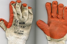 Workd_Hands