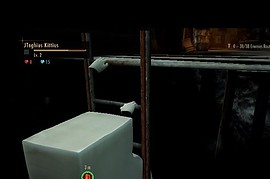 Tofu to Revelations 2