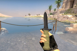 CS16 hands