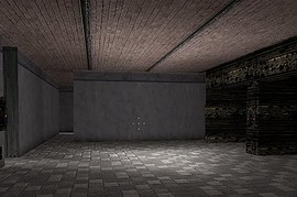 zps_zombieplatformer