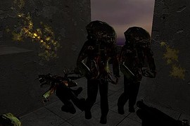 zombie_survival