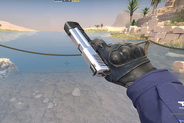 Pistol