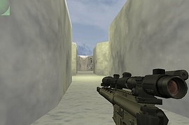 SPR rifle