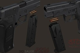 Sig Saur p228