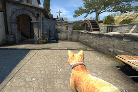 Cat gun