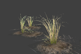 l10swamp_plant_group6