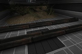 Escape from the Darkness
