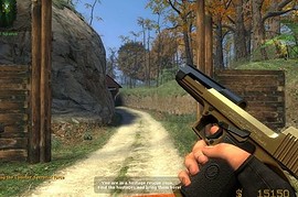 LE2 Toned Golden Hav0c Deagle