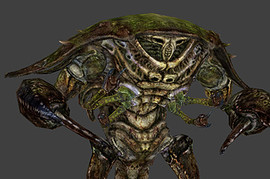 Mirelurk