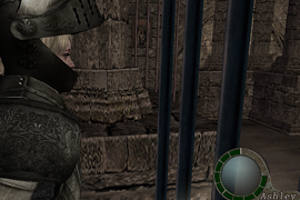 Ashley HD Pack
