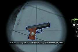 Wooden_Grip_Pistols_w_Skull_Imprint