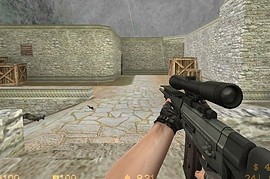 SG550 Sniper