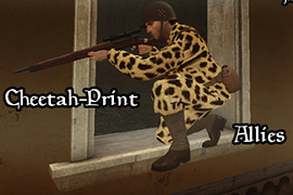 Cheetah_Print_Allies
