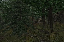 dod_copse_b1