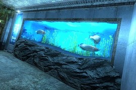 Aquarium (аквариум) CSO2