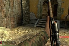 Waffen_SS_oakleaf__camo_pack