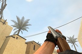 Double Barrel Shotgun