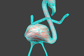Flamingo