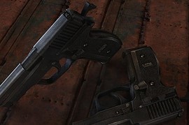 Sig Sauer P228