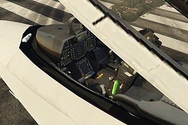 F-22 Raptor