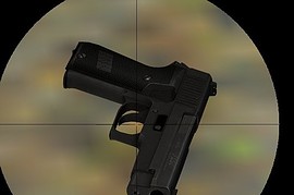 Sig Sauer P220 the tub