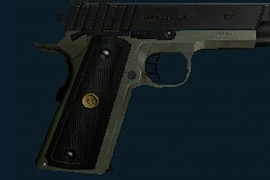 Wilson Combat .45