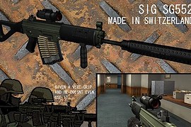 SG552_Tactical