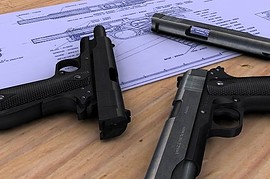 Colt Gov t